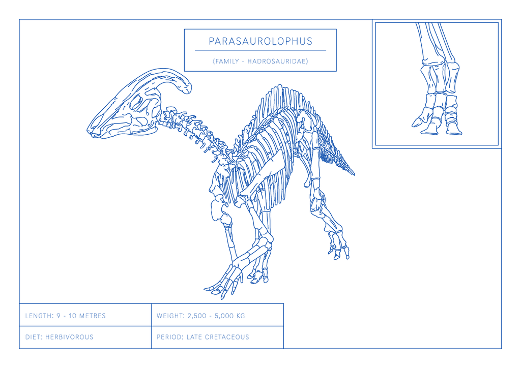 Parasaurolophus | Dinosaur Wall Art