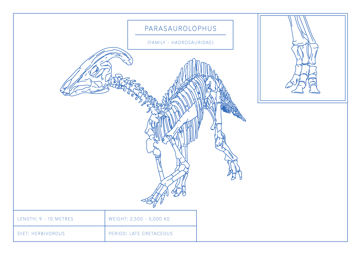 Parasaurolophus | Dinosaur Wall Art