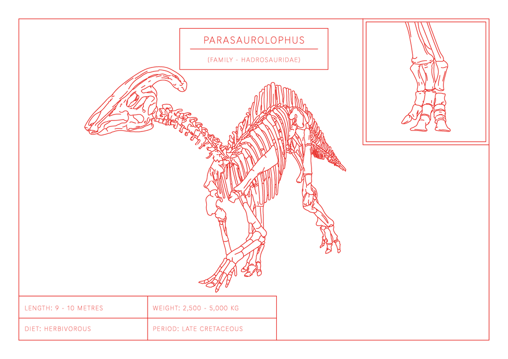 Parasaurolophus | Dinosaur Wall Art