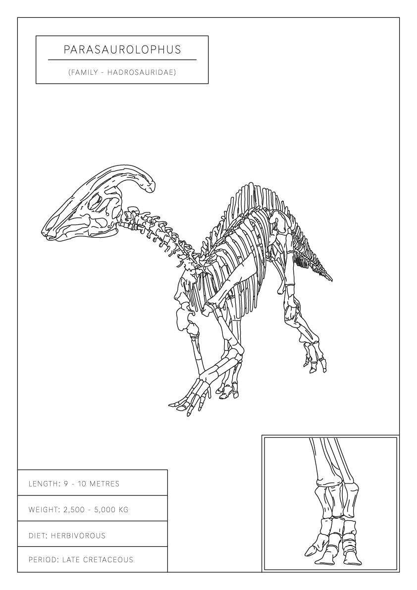 Parasaurolophus | Dinosaur Wall Art