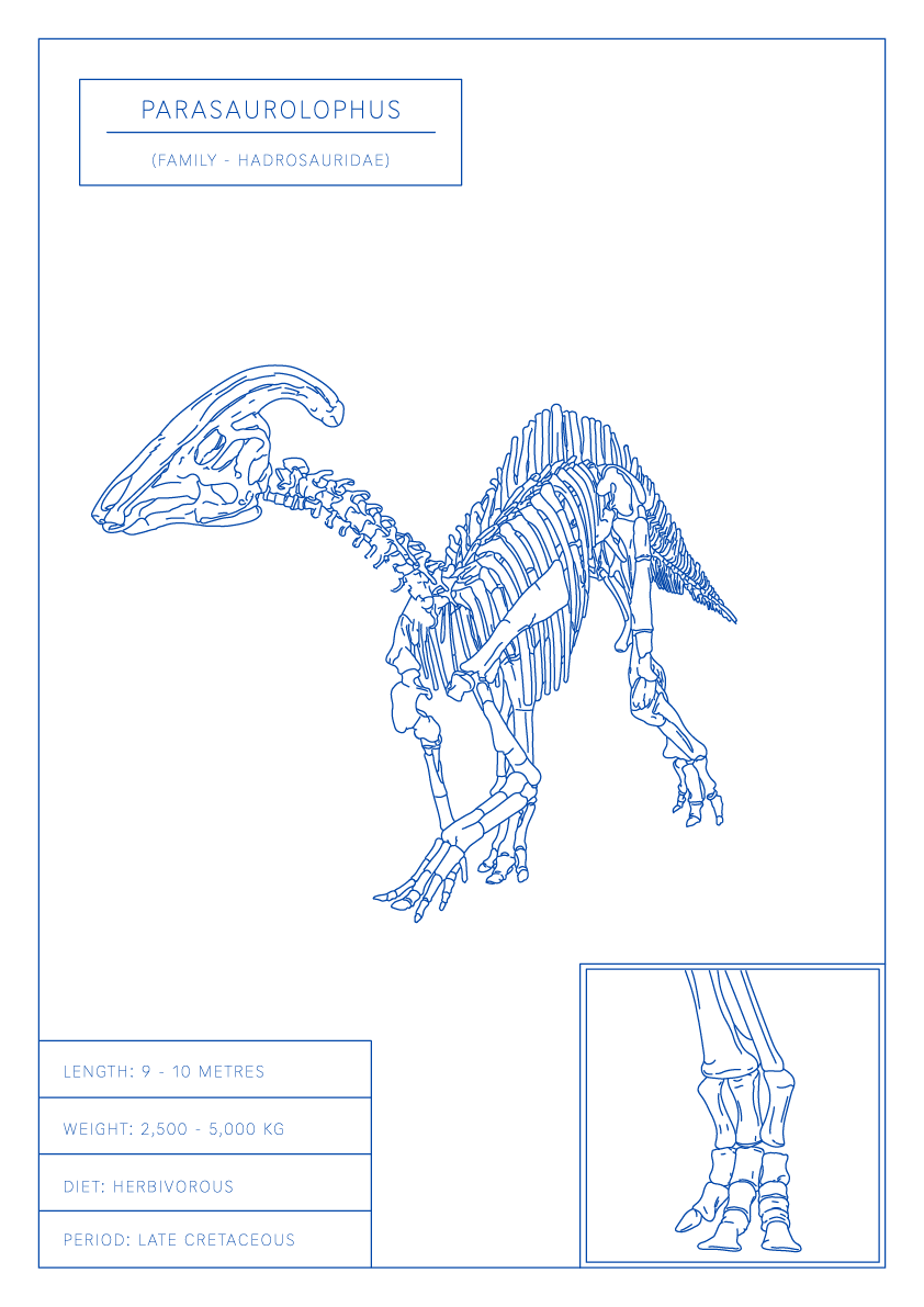 Parasaurolophus | Dinosaur Wall Art