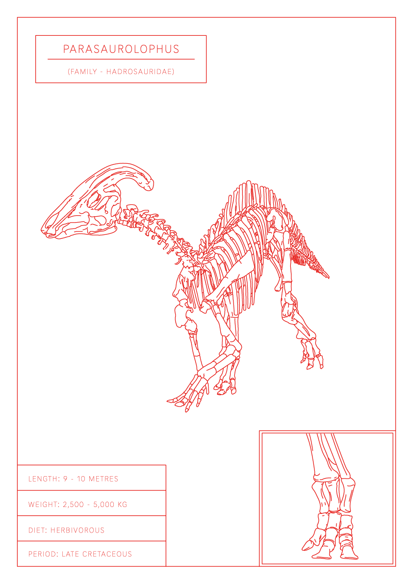 Parasaurolophus | Dinosaur Wall Art