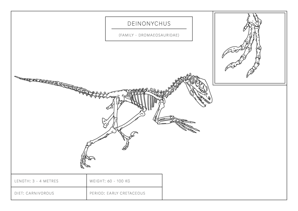 Deinonychus | Dinosaur Wall Art