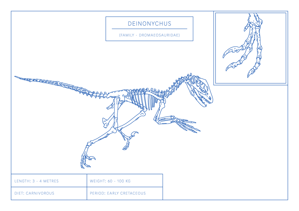Deinonychus | Dinosaur Wall Art