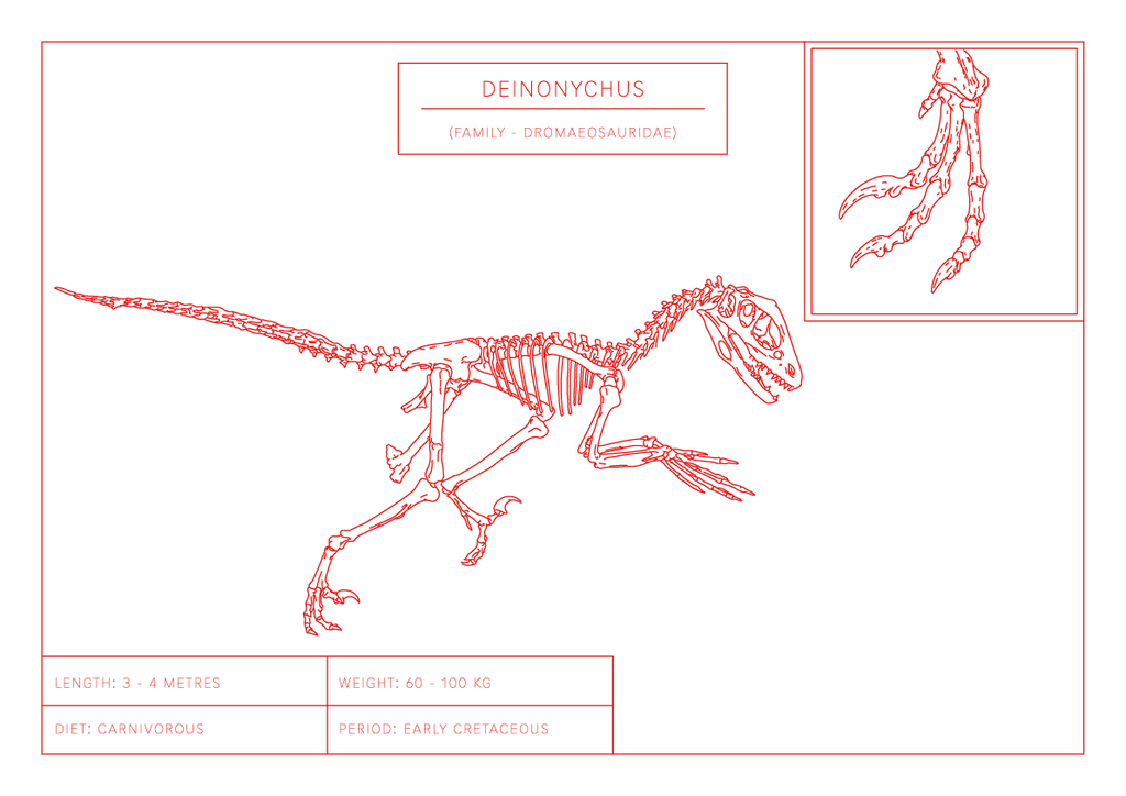 Deinonychus | Dinosaur Wall Art