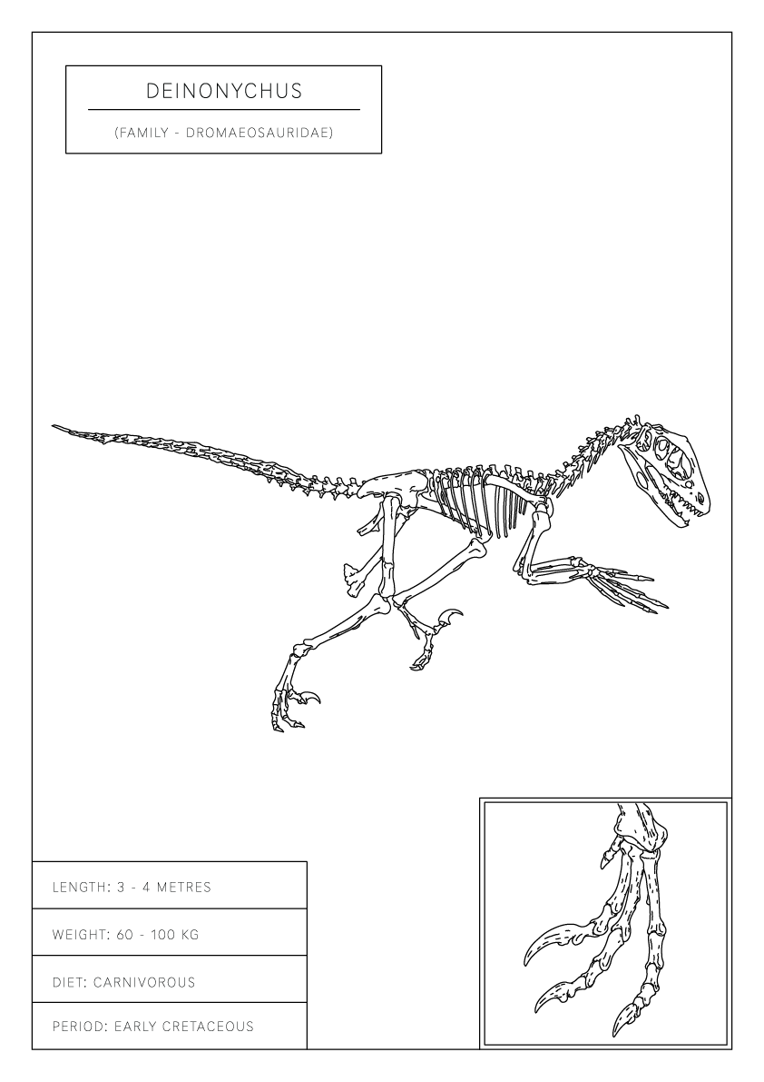 Deinonychus | Dinosaur Wall Art