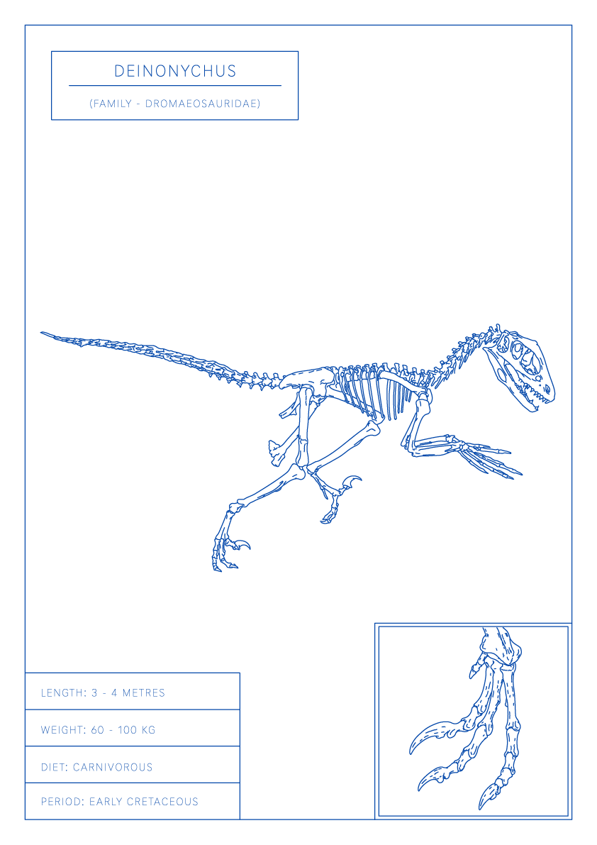 Deinonychus | Dinosaur Wall Art