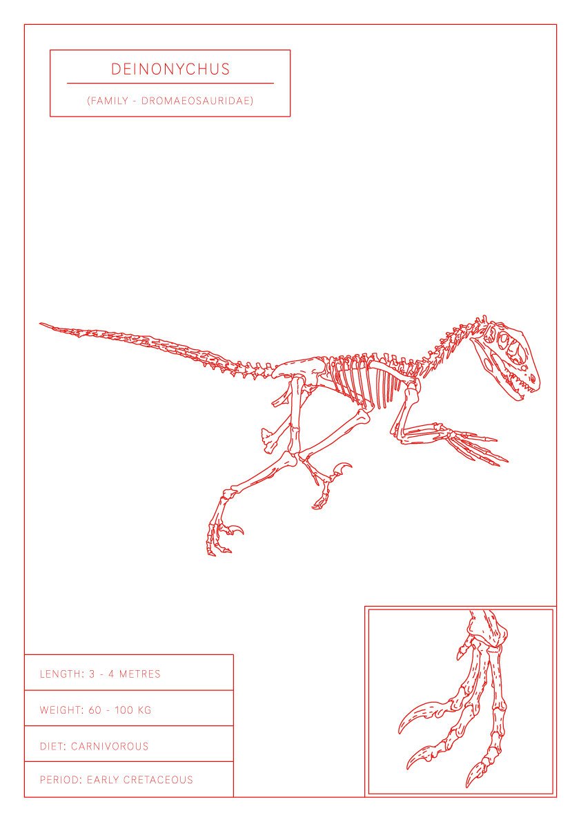 Deinonychus | Dinosaur Wall Art