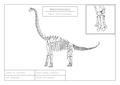 Brachiosaurus | Dinosaur Wall Art