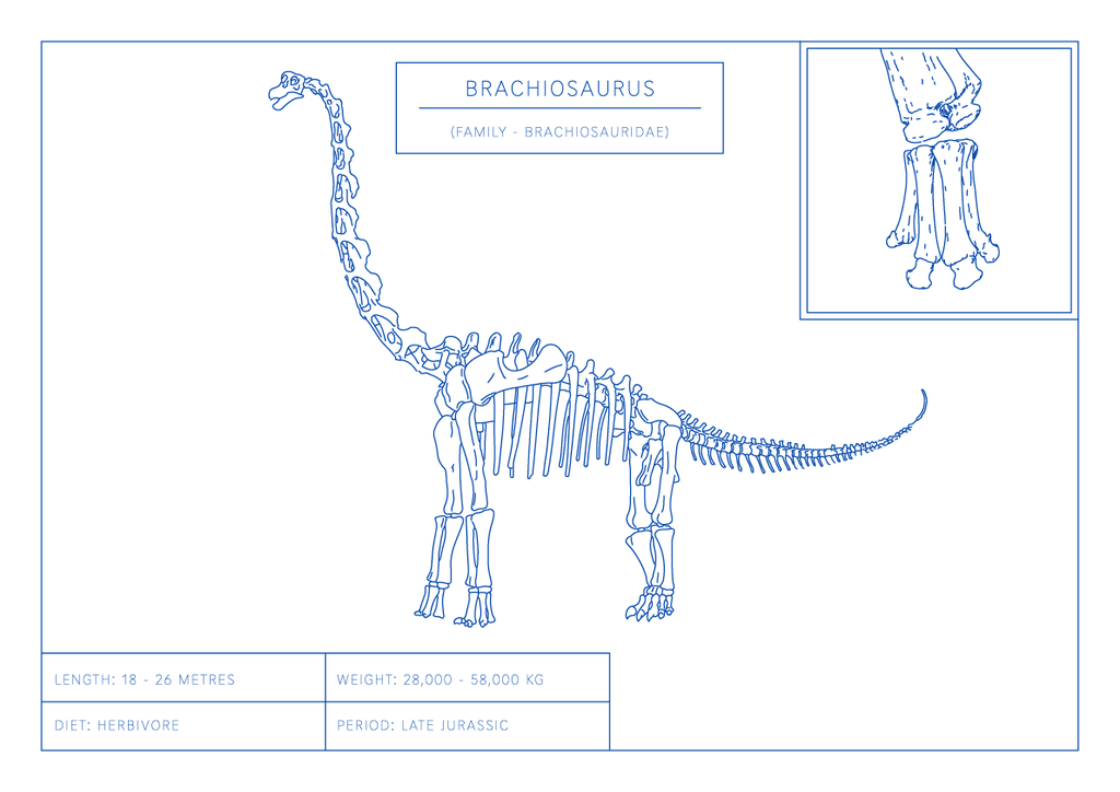 Brachiosaurus | Dinosaur Wall Art
