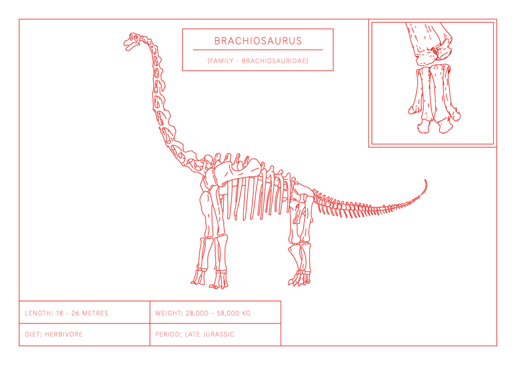 Brachiosaurus | Dinosaur Wall Art