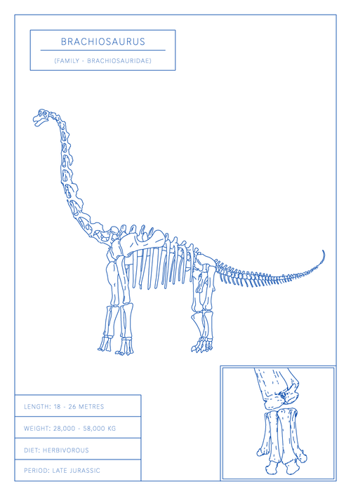 Brachiosaurus | Dinosaur Wall Art