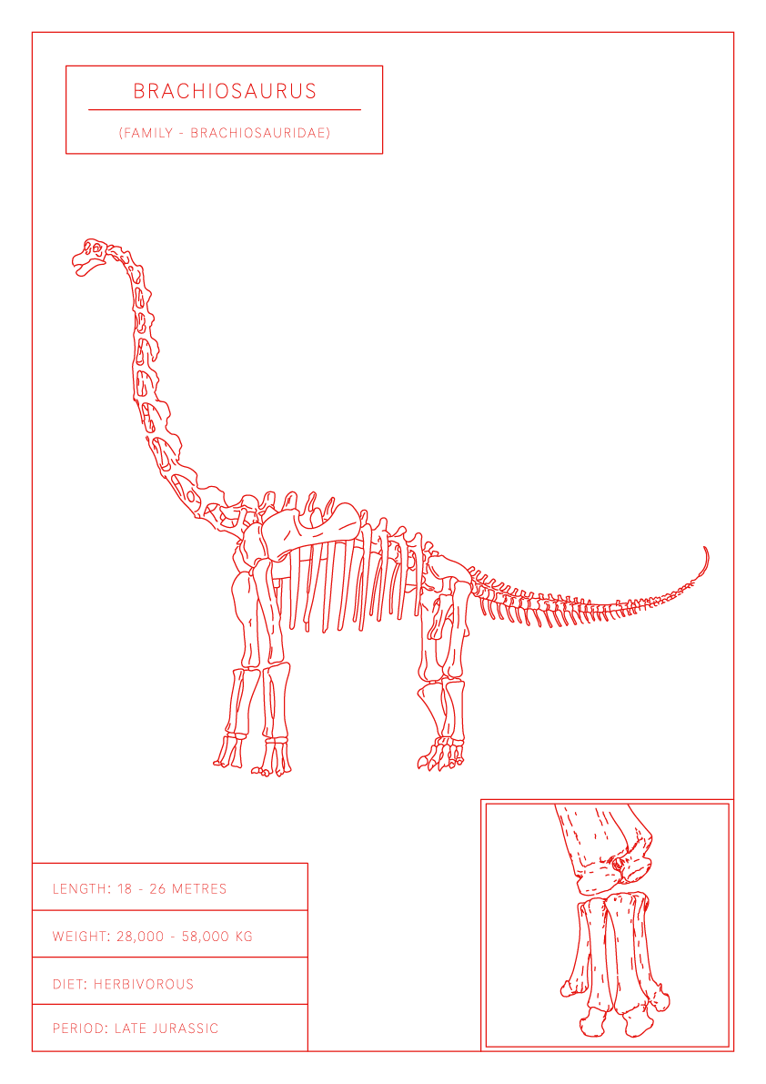 Brachiosaurus | Dinosaur Wall Art