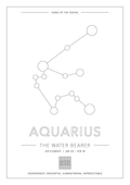 Aquarius Zodiac Constellation - Astrology Art