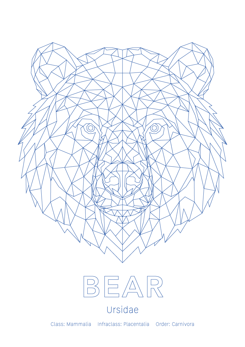 Bear Wall Art | Geometric Animals