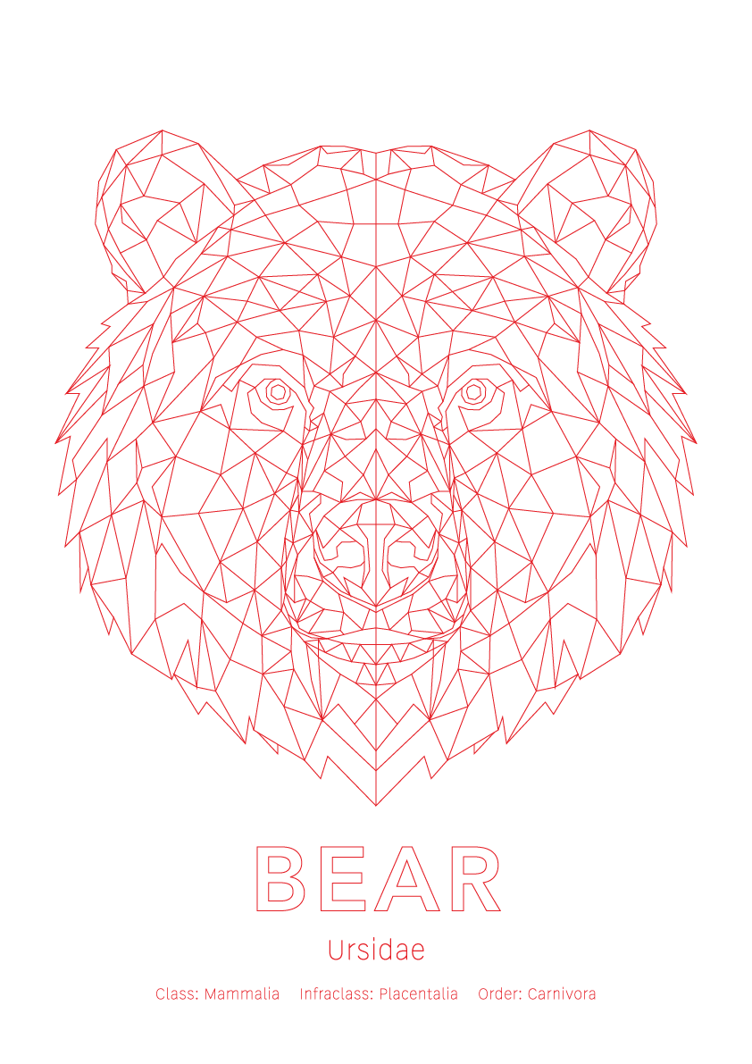 Bear Wall Art | Geometric Animals
