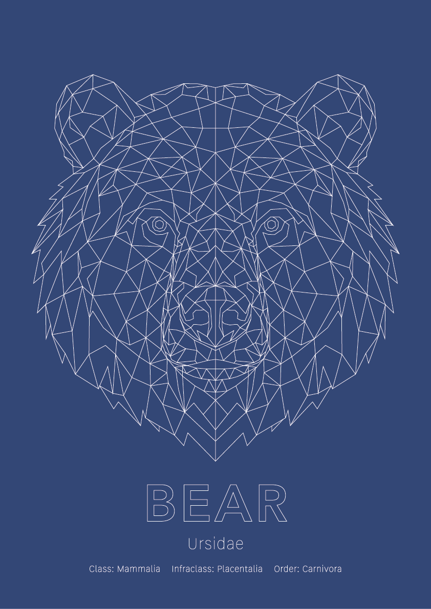 Bear Wall Art | Geometric Animals
