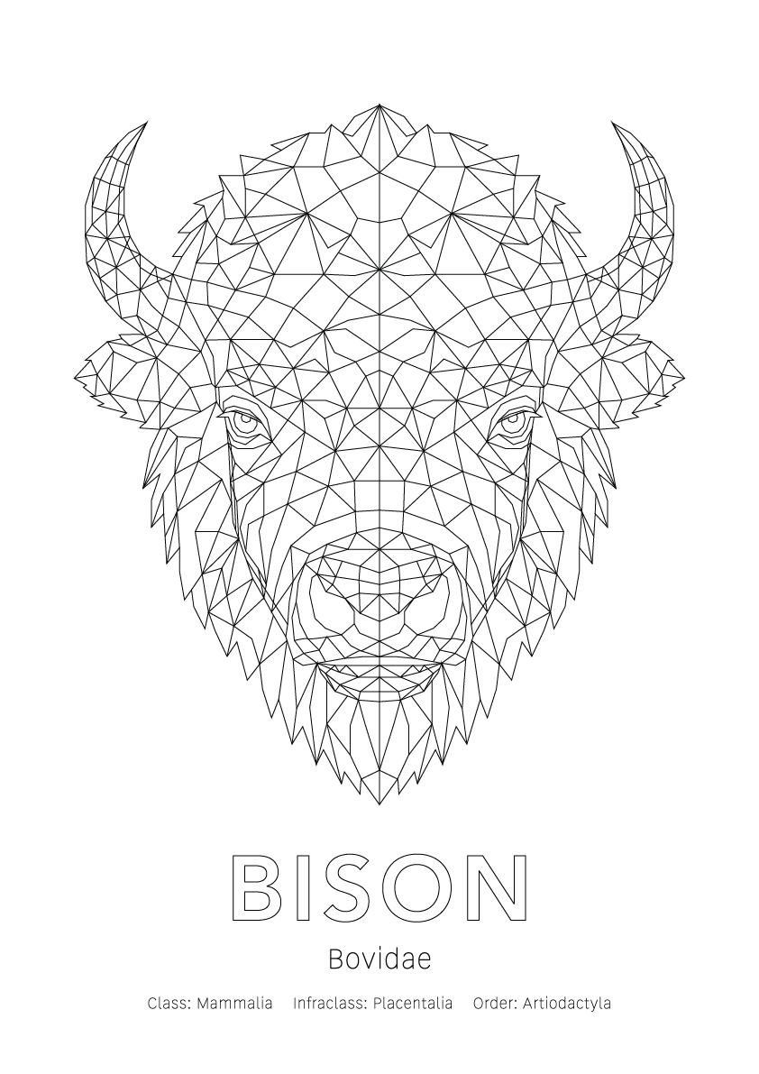 Bison Wall Art | Geometric Animals