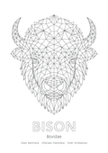 Bison Wall Art | Geometric Animals