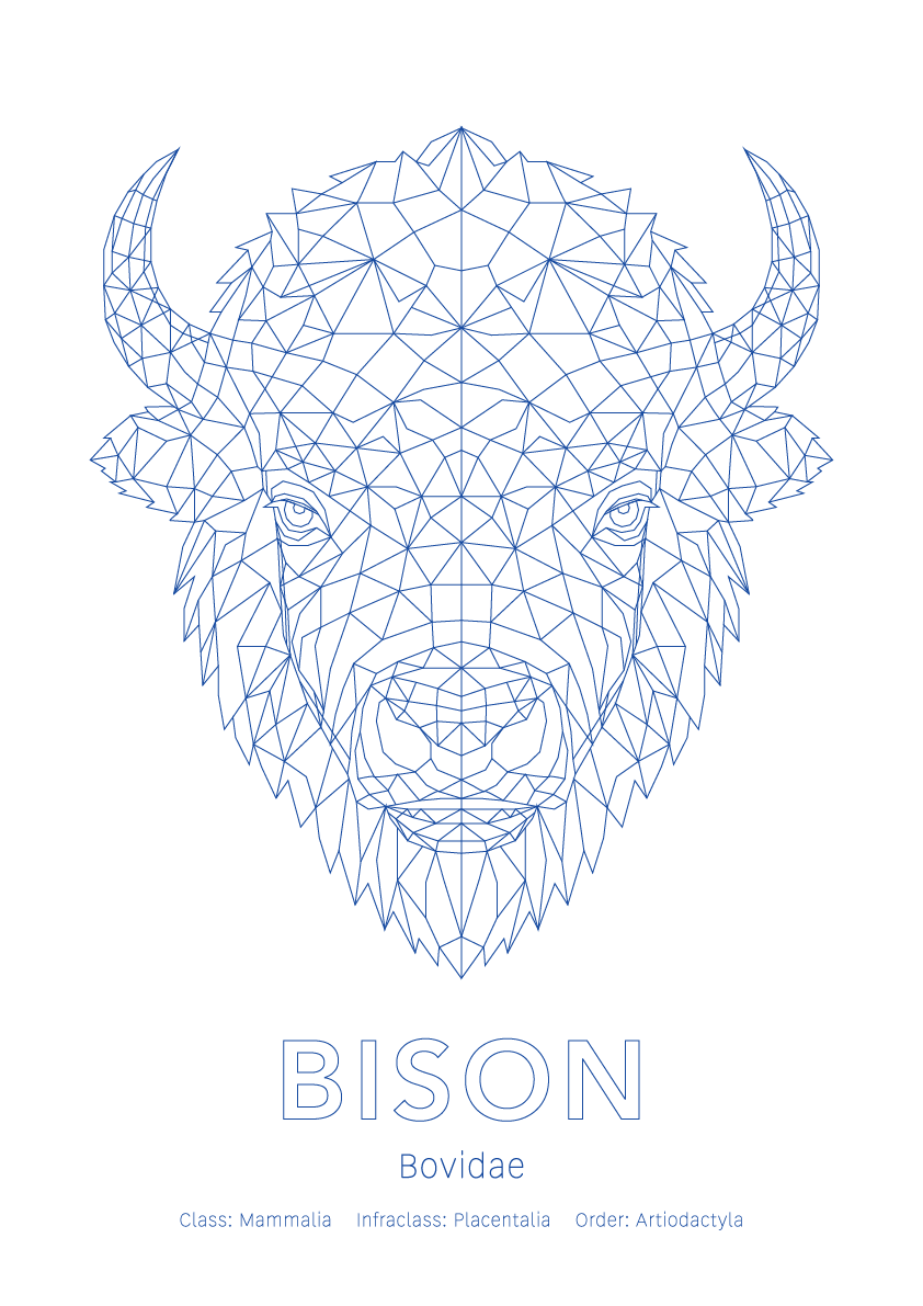 Bison Wall Art | Geometric Animals
