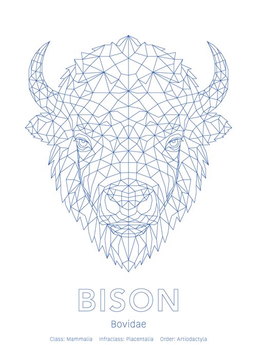 Bison Wall Art | Geometric Animals