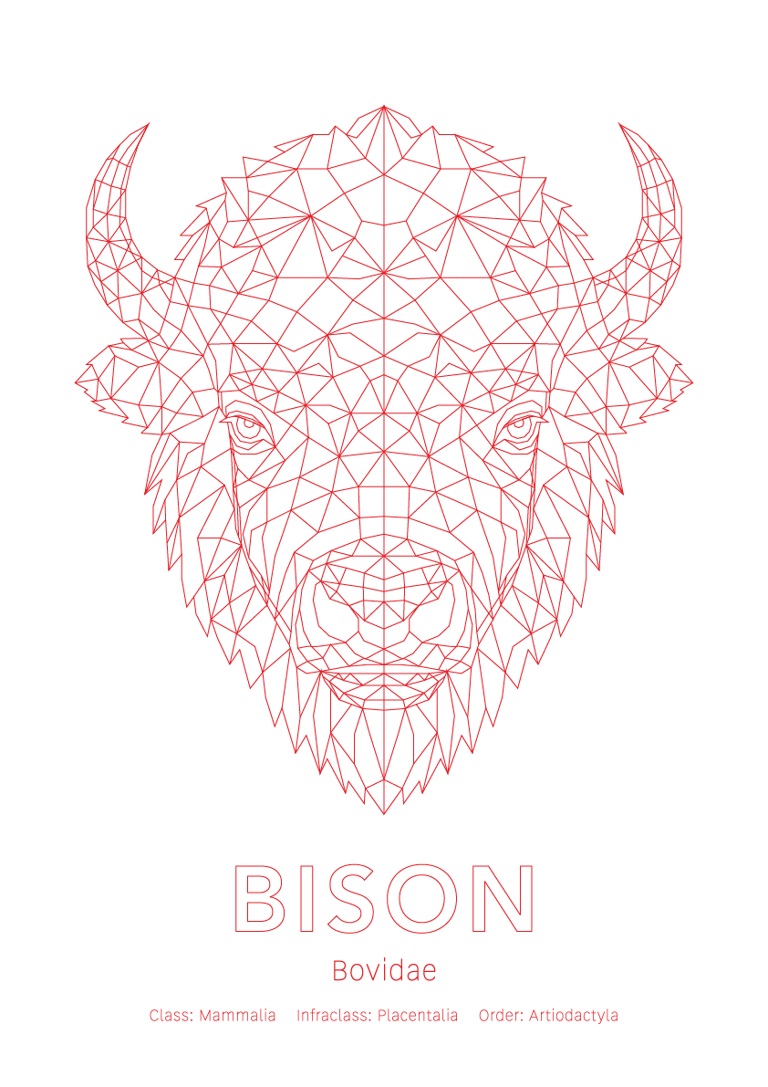 Bison Wall Art | Geometric Animals