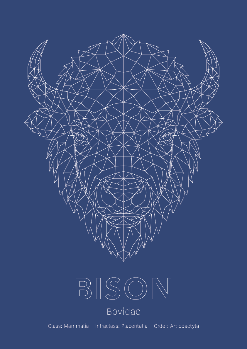 Bison Wall Art | Geometric Animals