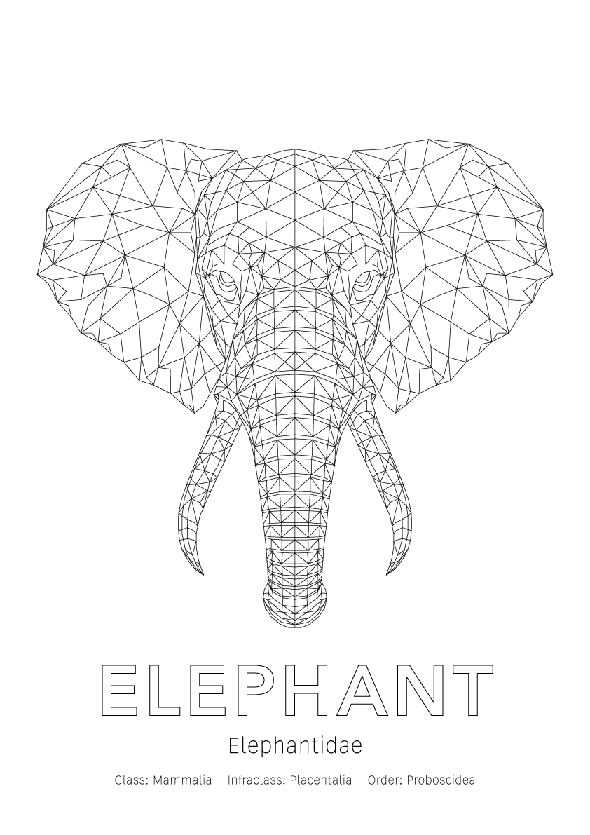 Elephant Wall Art | Geometric Animals