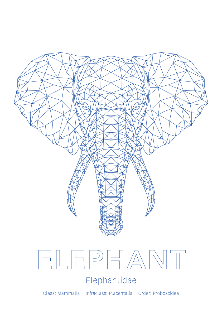 Elephant Wall Art | Geometric Animals