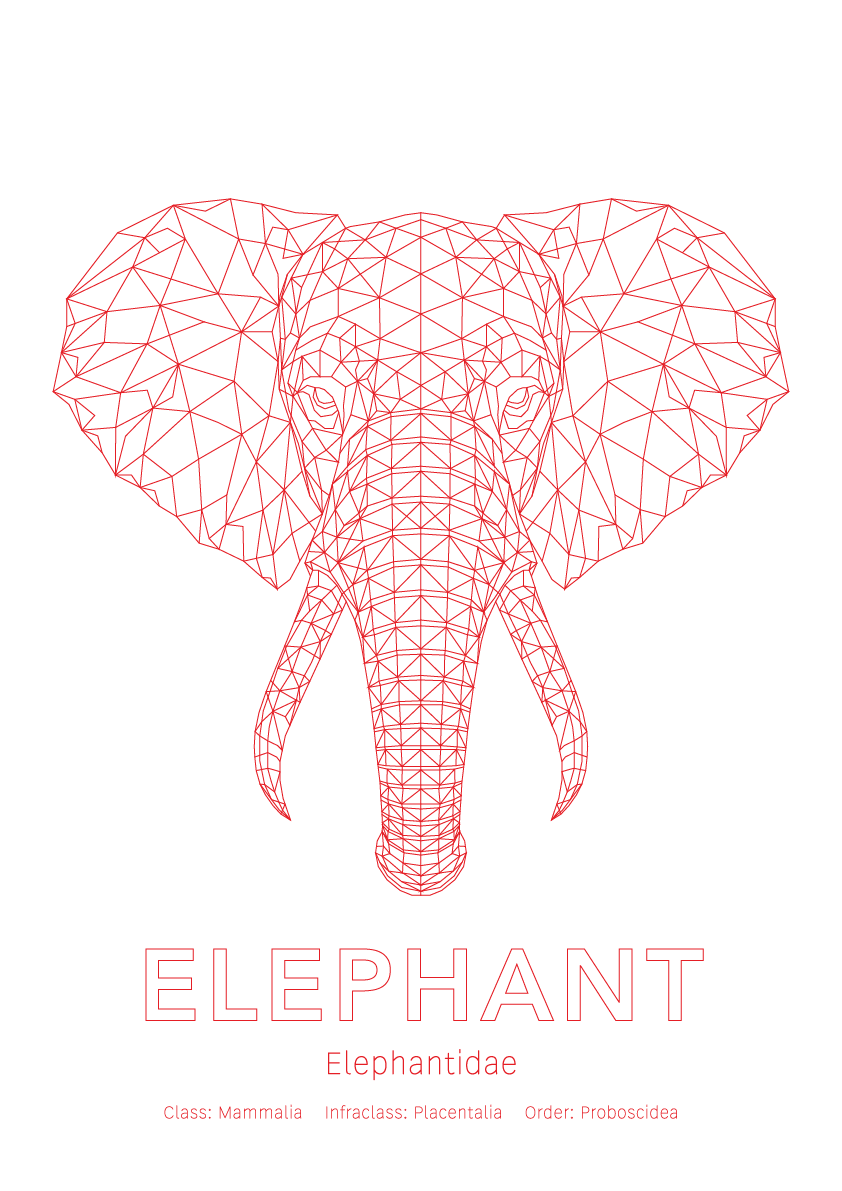 Elephant Wall Art | Geometric Animals