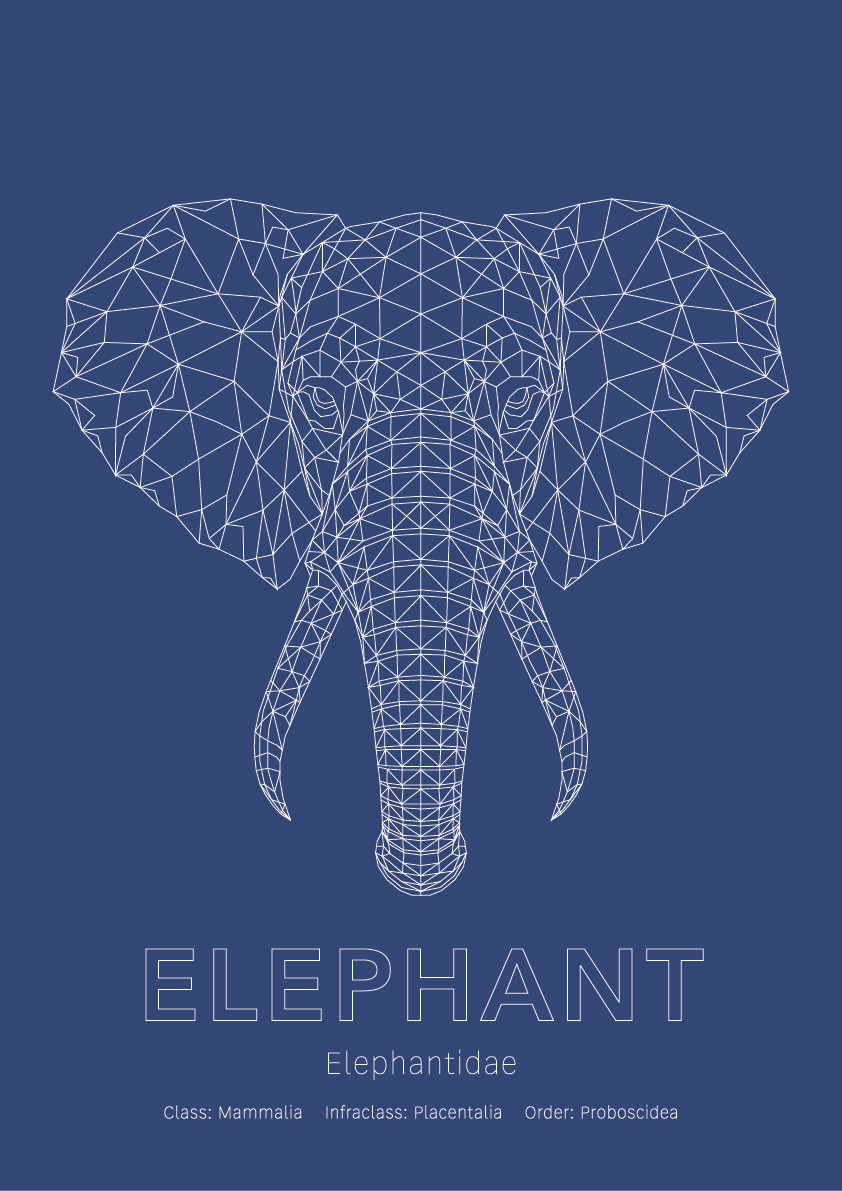 Elephant Wall Art | Geometric Animals