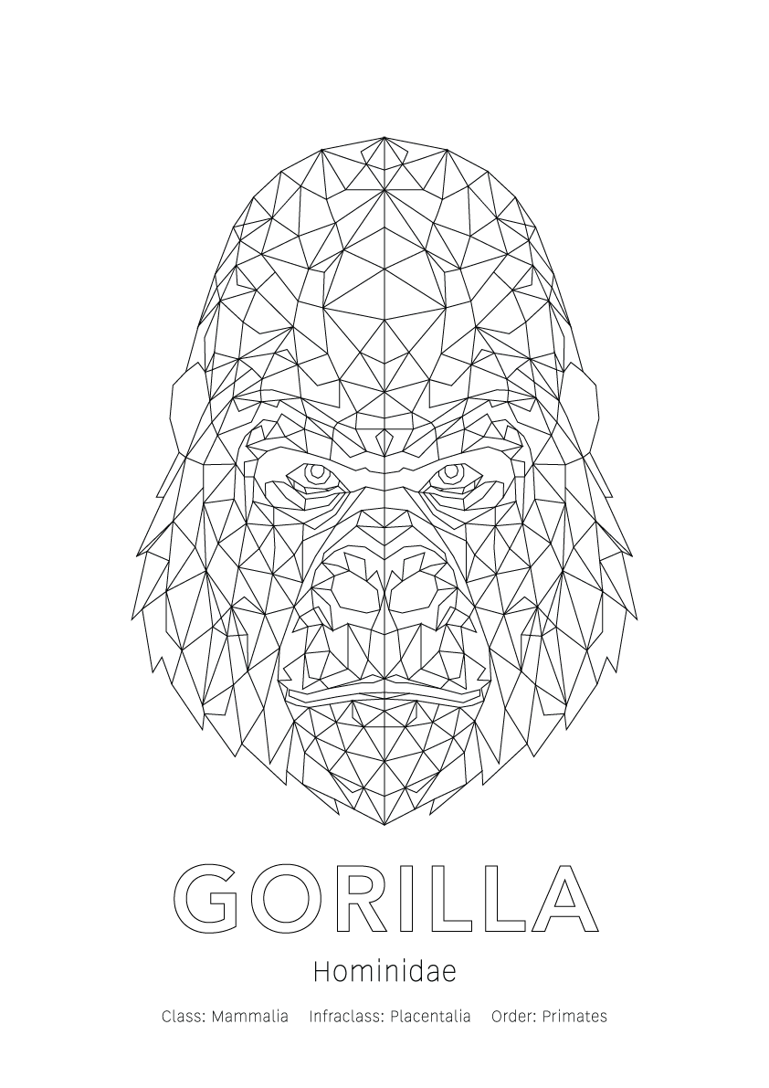 Gorilla Wall Art | Geometric Animals