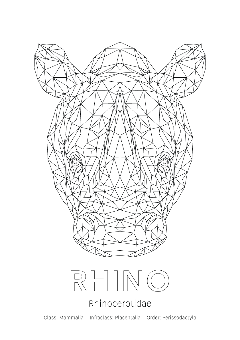 Rhino Wall Art | Geometric Animals