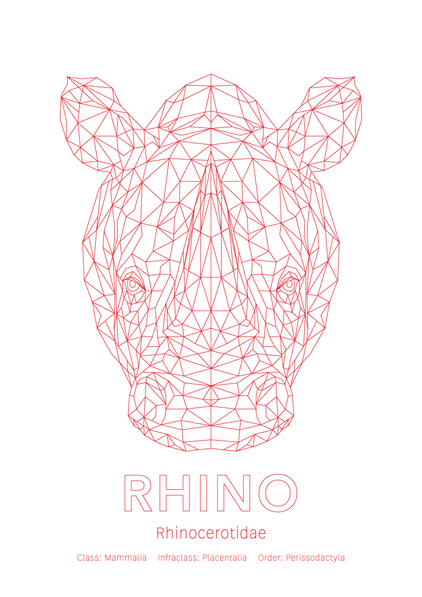 Rhino Wall Art | Geometric Animals