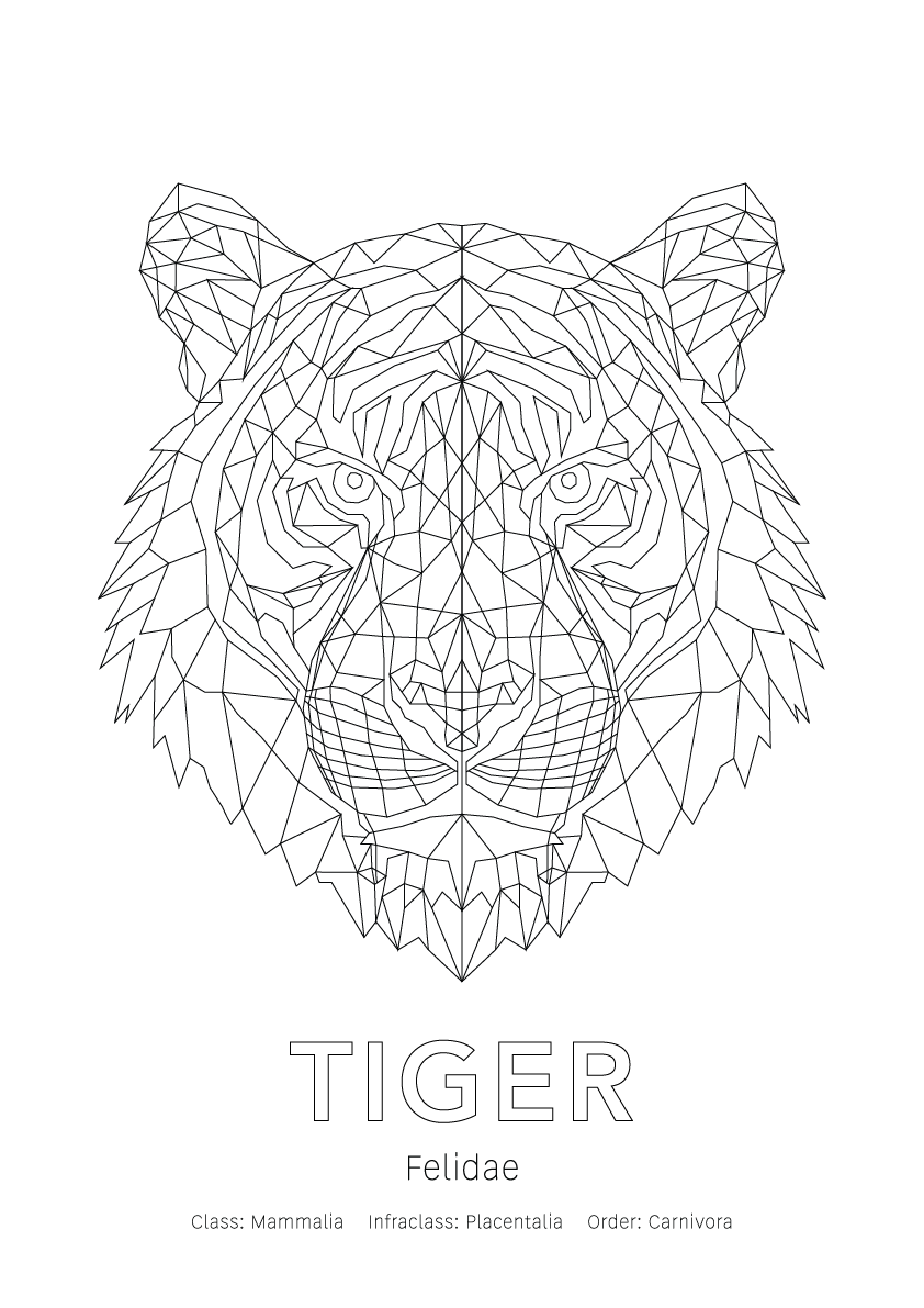 Tiger Wall Art | Geometric Animals