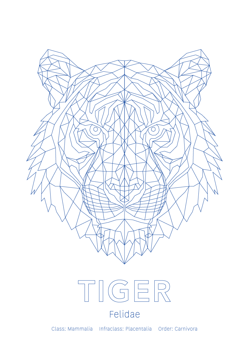 Tiger Wall Art | Geometric Animals