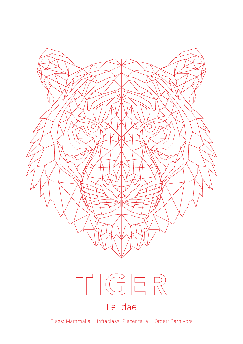 Tiger Wall Art | Geometric Animals