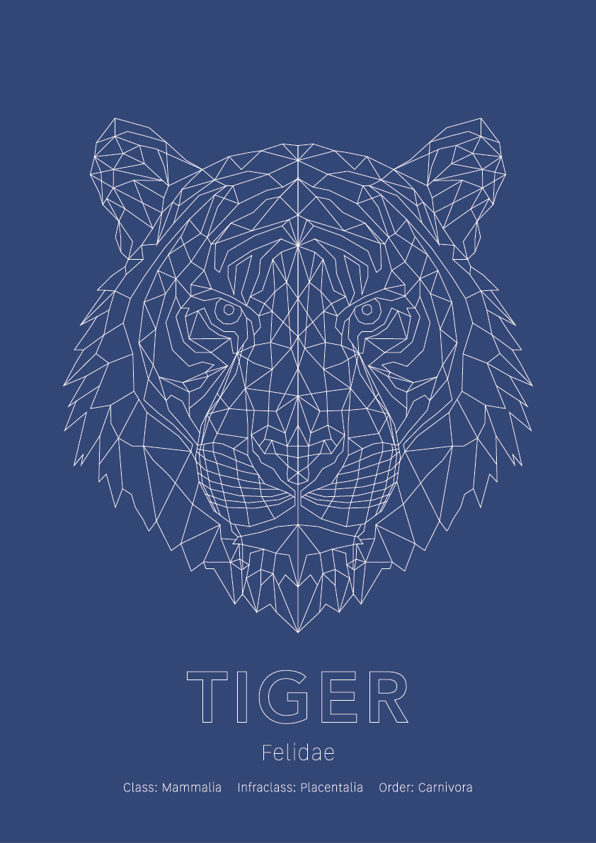 Tiger Wall Art | Geometric Animals