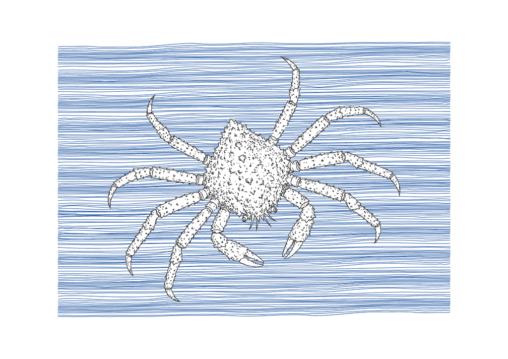 Crab Wall Art | Sea Creatures