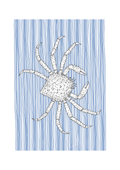 Crab Wall Art | Sea Creatures