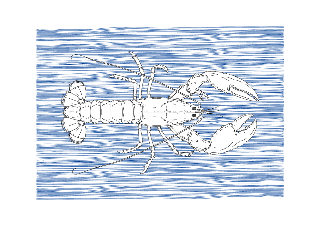 Lobster Wall Art | Sea Creatures