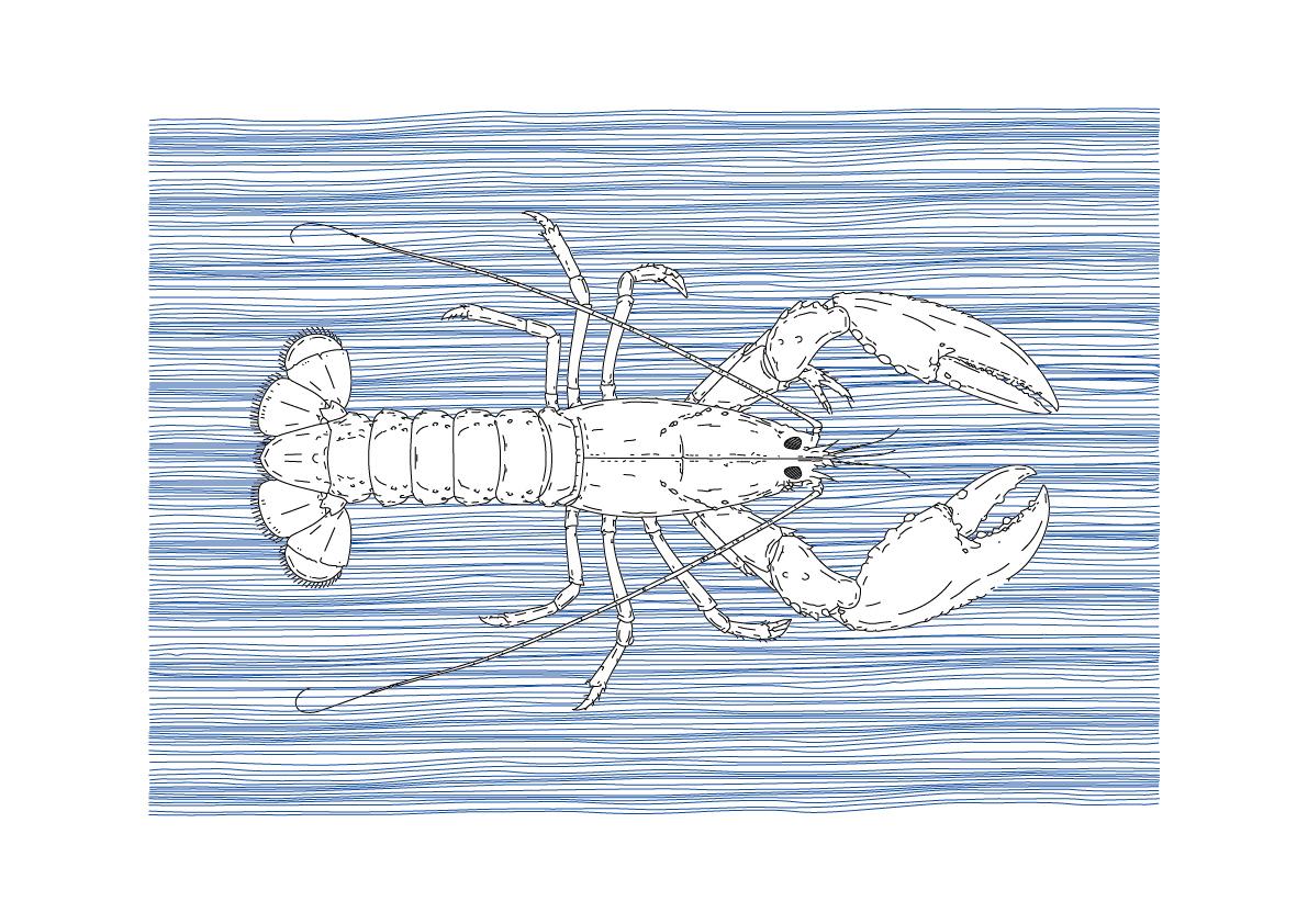 Lobster Wall Art | Sea Creatures