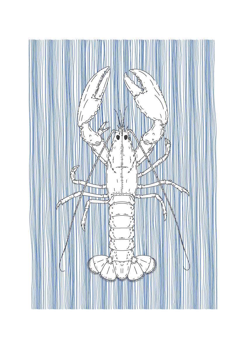 Lobster Wall Art | Sea Creatures