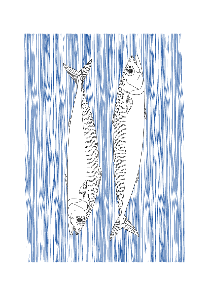 Mackerel Wall Art | Sea Creatures