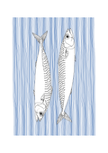 Mackerel Wall Art | Sea Creatures