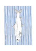 Salmon Wall Art | Sea Creatures