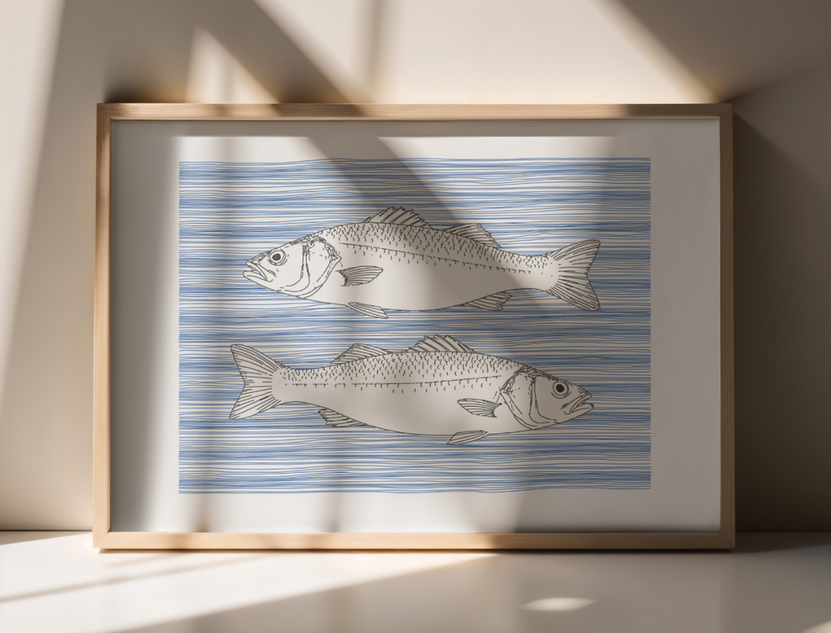 Sea Bass Wall Art | Sea Creatures
