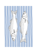 Sea Bass Wall Art | Sea Creatures