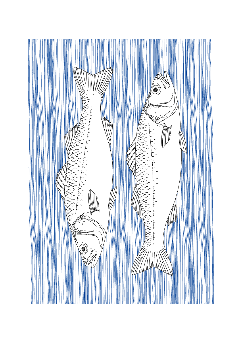 Sea Bass Wall Art | Sea Creatures