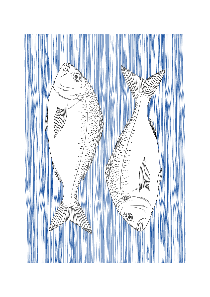 Sea Bream Wall Art | Sea Creatures